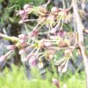 201205061557053d6