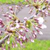 20120507155319ec9