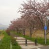 20120510213423cdc