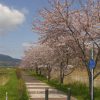 201205112149567ef