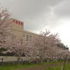 20120512175952c2b