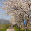 2012051417223896e