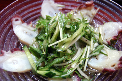 do-20160814-01.jpg